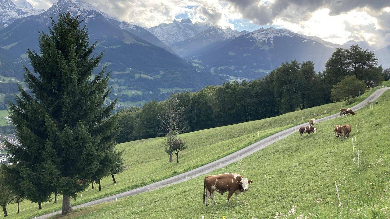 Geheel vakantieappartement, Vakantieappartement voor 4 personen met terras in Bartholomäberg, Schruns-Tschagguns