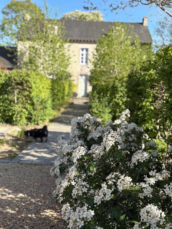 Chambre d’hôte pour 2 personnes, avec jardin et vue, animaux acceptés dans Theix-Noyalo - 4