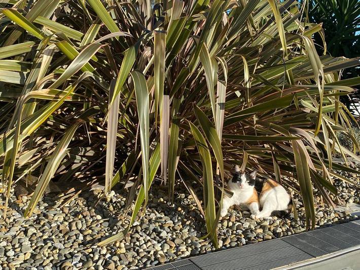 Gîte pour 2 personnes, avec vue ainsi que piscine et jardin à Hasparren - 2