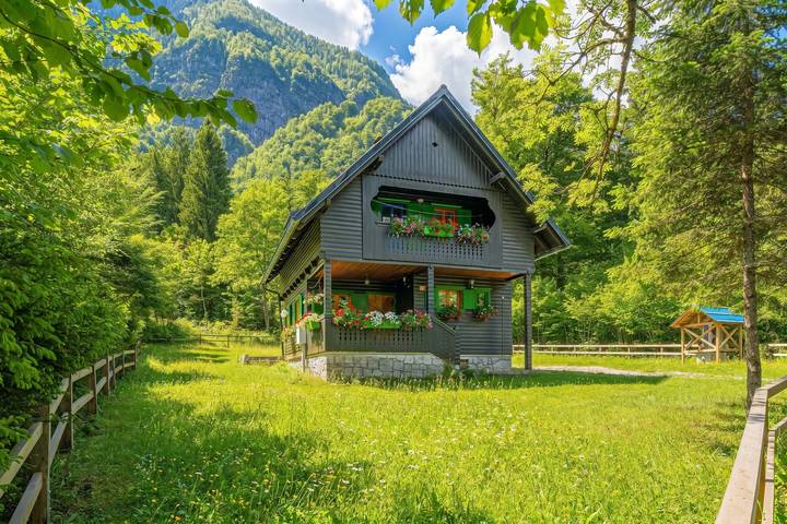 Apartament wakacyjny dla 7 osób, z Taras w Alpy Julijskie