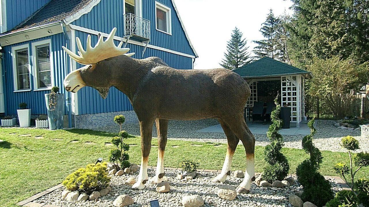 Ganze Ferienwohnung, Ferienwohnung für 7 Personen (120 m²) in Eschede in Eschede, Naturpark Südheide