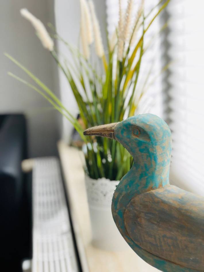 Ferienwohnung für 4 Personen, mit Terrasse, mit Haustier in Schleswig - 4