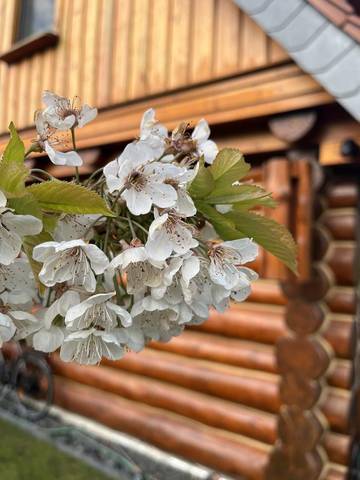 Ferienwohnung für 4 Personen in Ottersberg, Niedersachsen, Bild 3