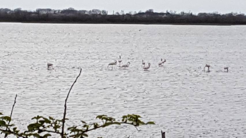 B&b per 6 persone, con giardino e panorama, adatto a famiglie con bambini in Porto Viro