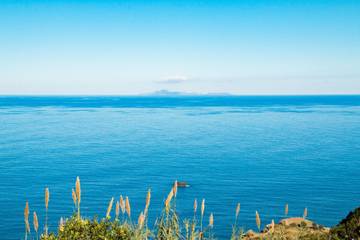 Glamping voor 4 Personen in Madeira, Afbeelding 1