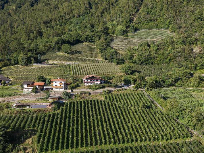 Ferienwohnung für 3 Personen, mit Garten, mit Haustier in Burggrafenamt - 4