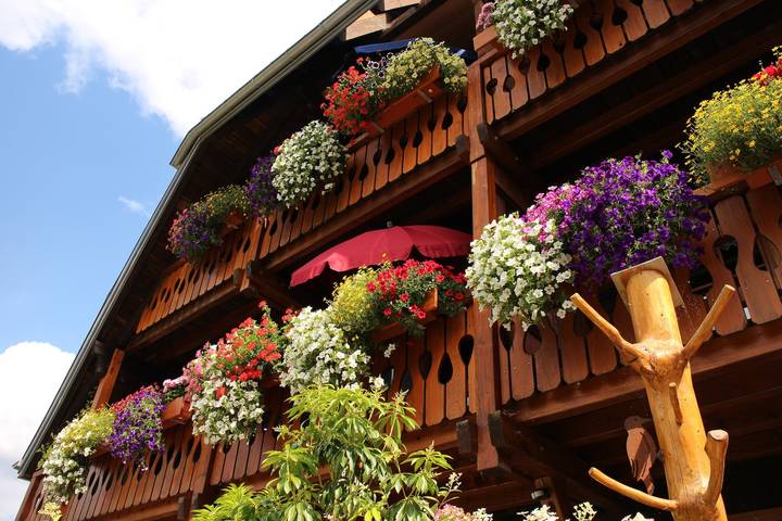 Ganze Wohnung, Ferienwohnung Panoramablick 1  -  Neu!!!  incl. 3-Welten-Card - 140 kostenlose Attraktionen in Bernau im Schwarzwald, Südschwarzwald