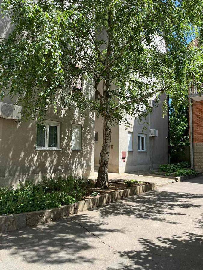 Gîte pour 4 personnes, avec balcon et vue à Vršac - 4