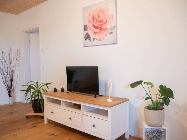 Appartement entier, Appartement « Ferienwohnung-Im Alpenblick-Wangen » avec vue sur le lac, jardin privé et Wi-Fi in Wangen, Region Bodensee-Oberschwaben