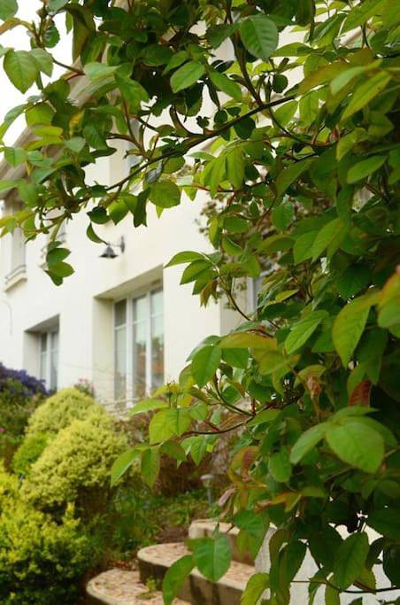 Location de vacances pour 15 personnes, avec jardin à Port-en-Bessin-Huppain - 2