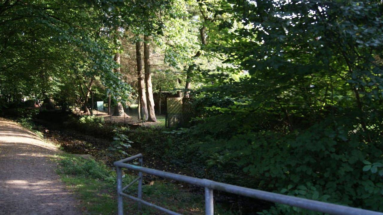 Ferienhaus für 5 Personen (110 m²) in Hamburg in Rahlstedt Hamburg, Hamburg