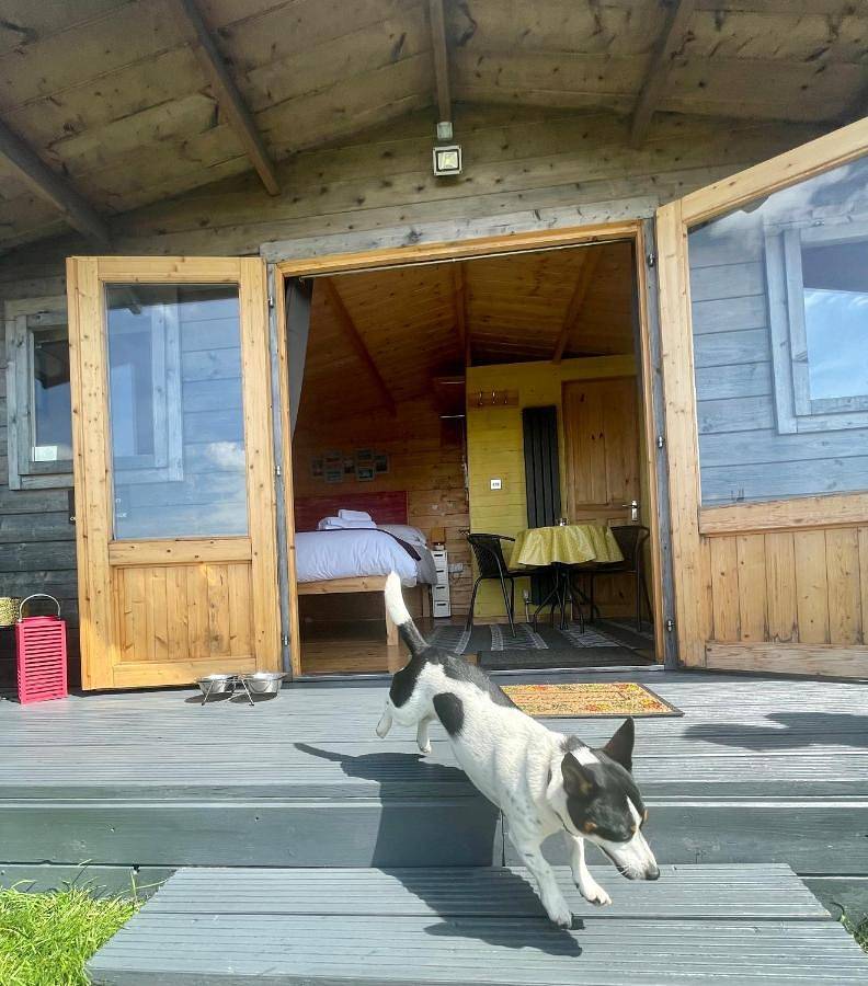 Willow Glamping Hut with Hot Tub, Ensuite, Bbq, Firepit, Views, Fenced Garden, Dog Friendly, Alpacas on site on Anglesey, North Wales in Isle of Anglesey