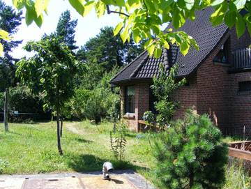 Ferienwohnung für 4 Personen in Loddin, Usedom, Bild 2