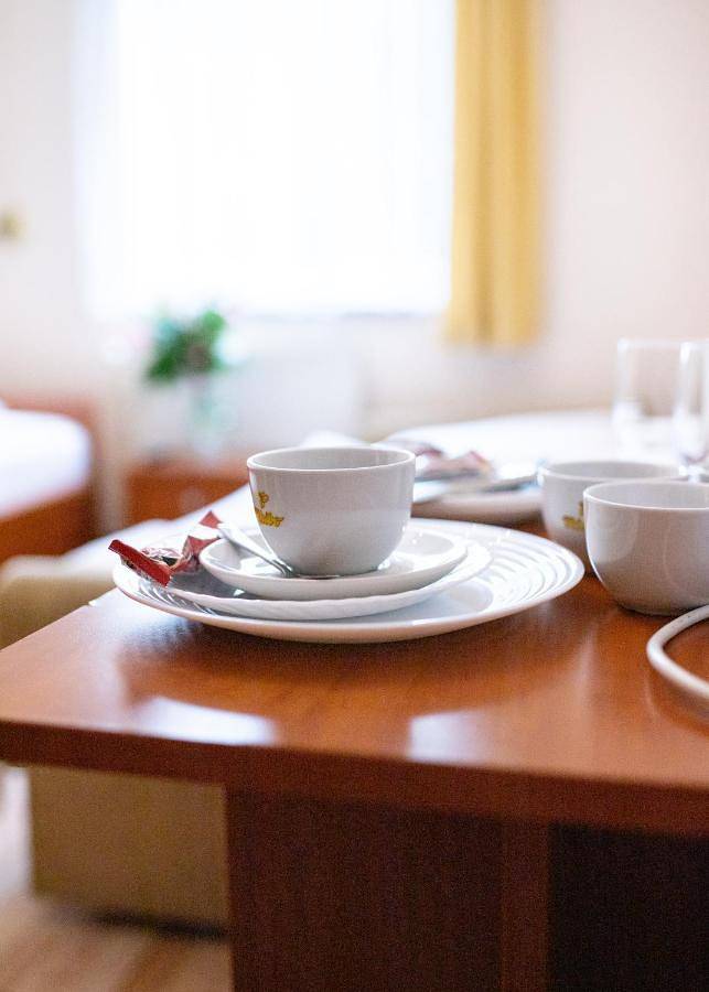 Hotel dla 4 osób, z ogród, zwierzęta dozwolone w Wieliczka