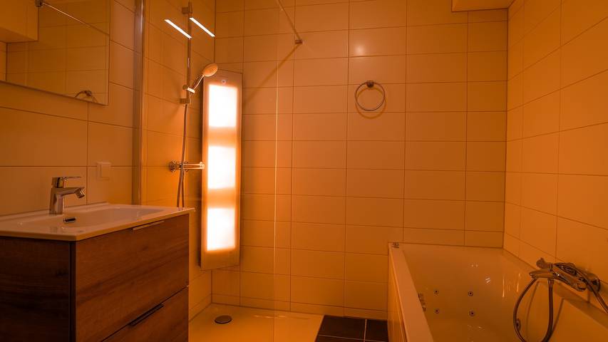 Ferienhaus für 4 Personen, mit Garten und Sauna in Schouwen-Duiveland - 3