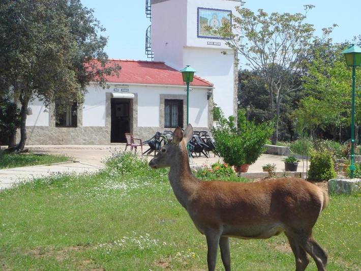 Casa rural para 4 personas, con Balcón y Terraza además de Jacuzzi y Jardín en Sierra Morena