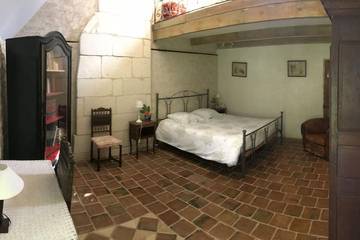 Maison D’hôte pour 12 Personnes dans Cussay, Région de Loches, Photo 4