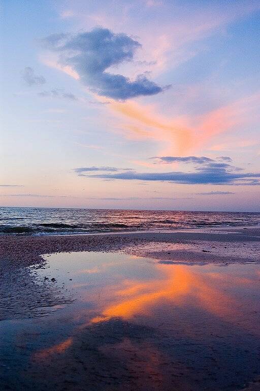 Gemütlich und freundlich - Schritte zum Strand in Clearwater Beach, Clearwater