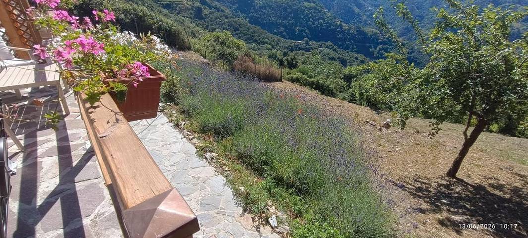 Maison d’hôte pour 4 personnes, avec jardin et vue, animaux acceptés à Vernazza - 4