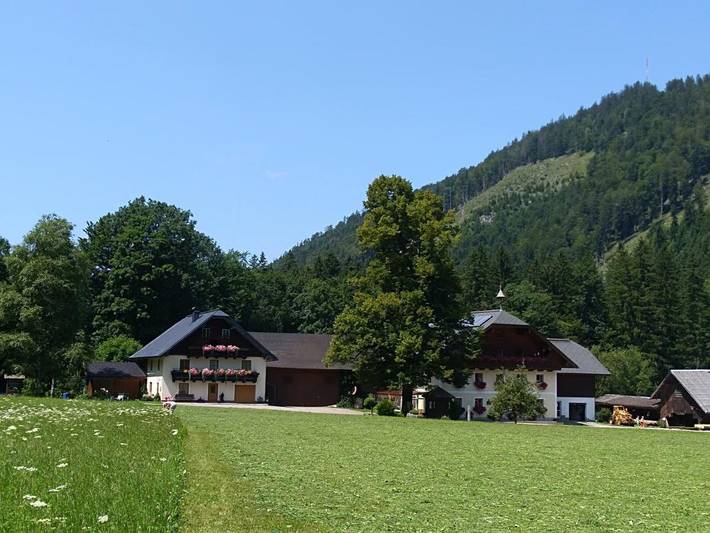 Ferienhaus für 7 Personen, mit Garten und Ausblick in Faistenau - 2