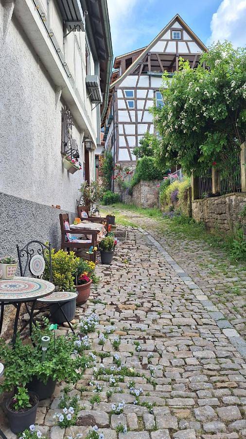 Ferienhaus für 2 Personen, mit Ausblick in Bad Wimpfen - 3