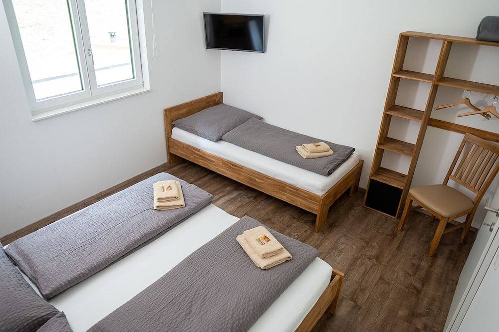 Ganze Wohnung, Schöne und gemütliche Ferienwohnung, direkt bei der Abfahrtspiste vom Sonnenkopf in Sonnenkopf, Klösterle am Arlberg