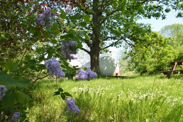 Gîte pour 3 personnes, avec terrasse ainsi que jardin et vue à Wanze - 4