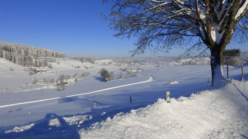 Ferienwohnung für 4 Personen, mit Balkon und Garten in Oberstaufen - 3