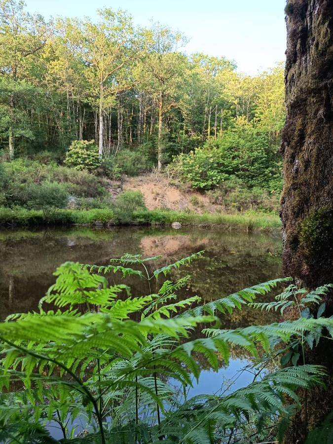 Location de vacances pour 2 personnes à Saint-Estèphe (Dordogne) - 2