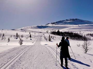 Feriehus til 6 Personer i Stor-Elvdal , Innlandet, Bilde 2