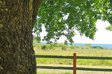 Location de vacances pour 5 personnes, avec jardin, animaux acceptés à Poggio-Mezzana
