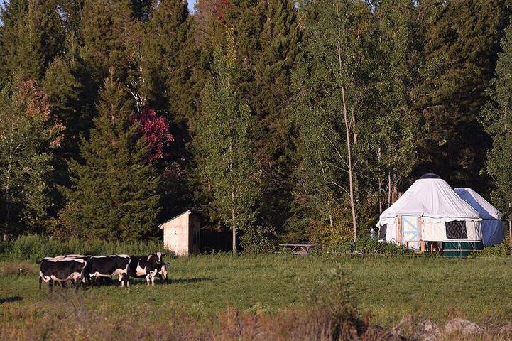 Camping pour 4 personnes, avec jardin et sauna dans Canada - 2