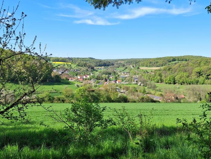 Ferienhaus Villa Sorgenfrei in Stuttgart Region