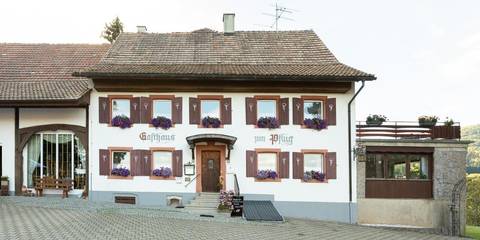 Hôtel pour 4 personnes, avec jardin et vue à Steinen