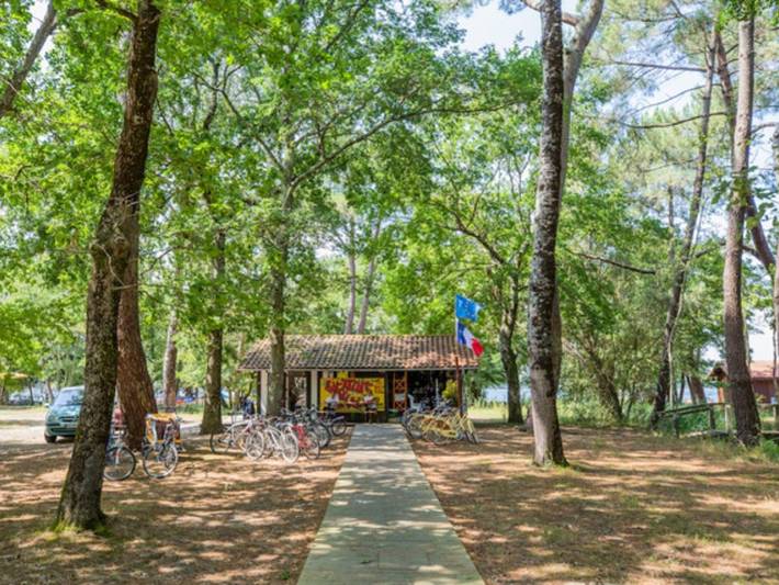 Gîte pour 6 personnes, avec terrasse et piscine à Sainte-Eulalie-en-Born - 4