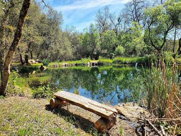 Casa Rodante para 5 Personas en Norte de California, California, Foto 2