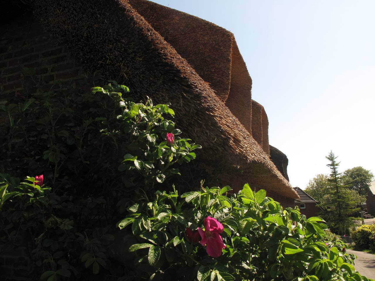 Friesenhaus am Meer in Dagebüll, Nordfriesland