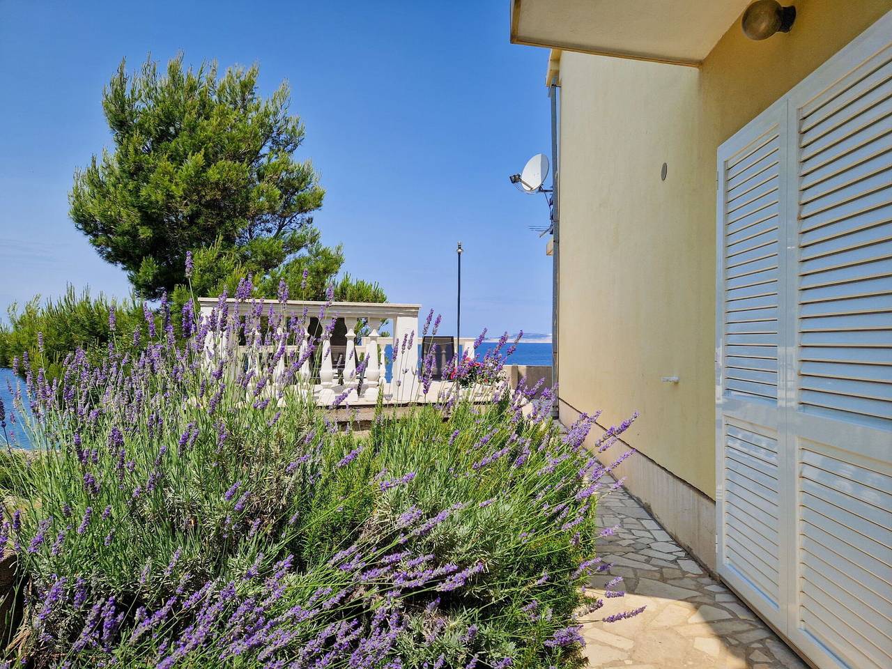 Mara - Mara 300.1 in Cesarica, Naturpark Velebit