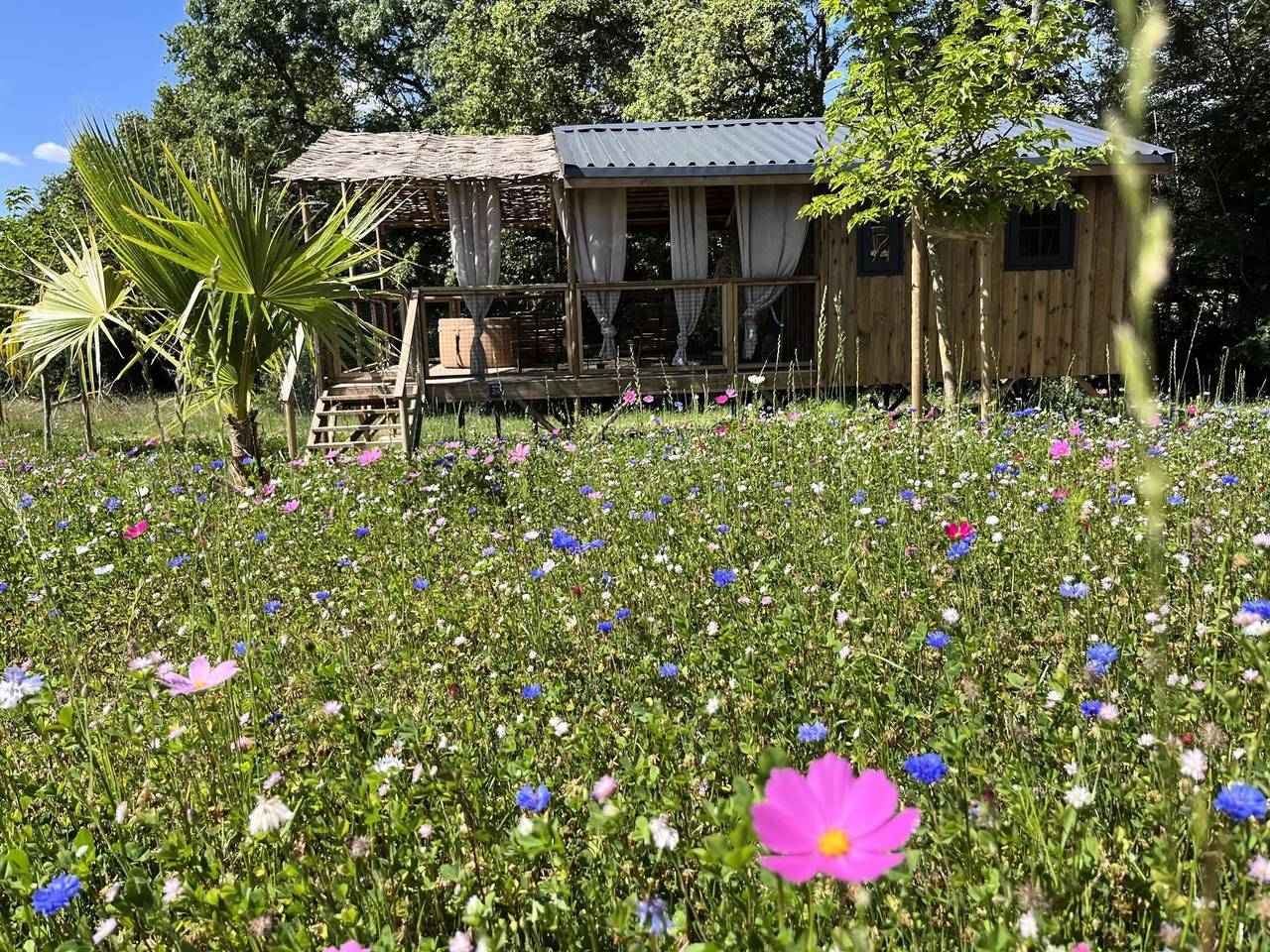 Safari Lodge Zelt (34 m2 - 2 Schlafz.) 5 Personen in Chisseaux, Tours und Umgebung