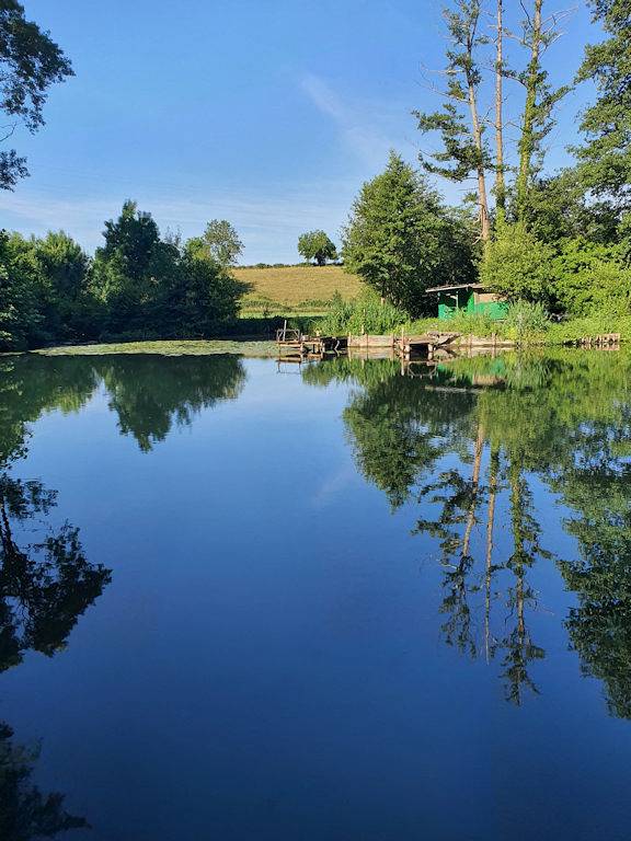 Chambre d’hôte pour 2 personnes, avec jardin au Parc Naturel Régional du Marais poitevin - 2