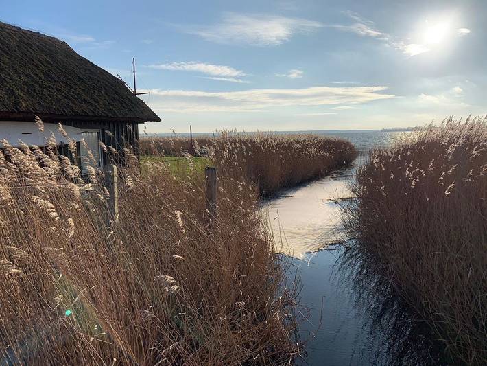 Ferienwohnung für 3 Personen, mit Sauna und Terrasse in Wieck am Darß - 2