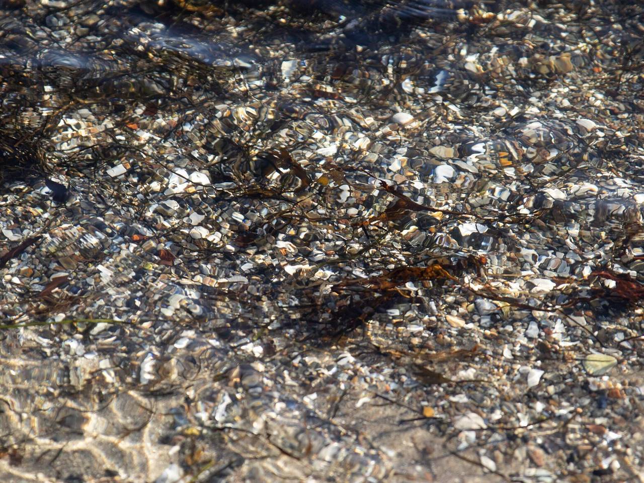 8 Personen Ferienhaus in Sjølund-By Traum in Bjert, Kleiner Belt