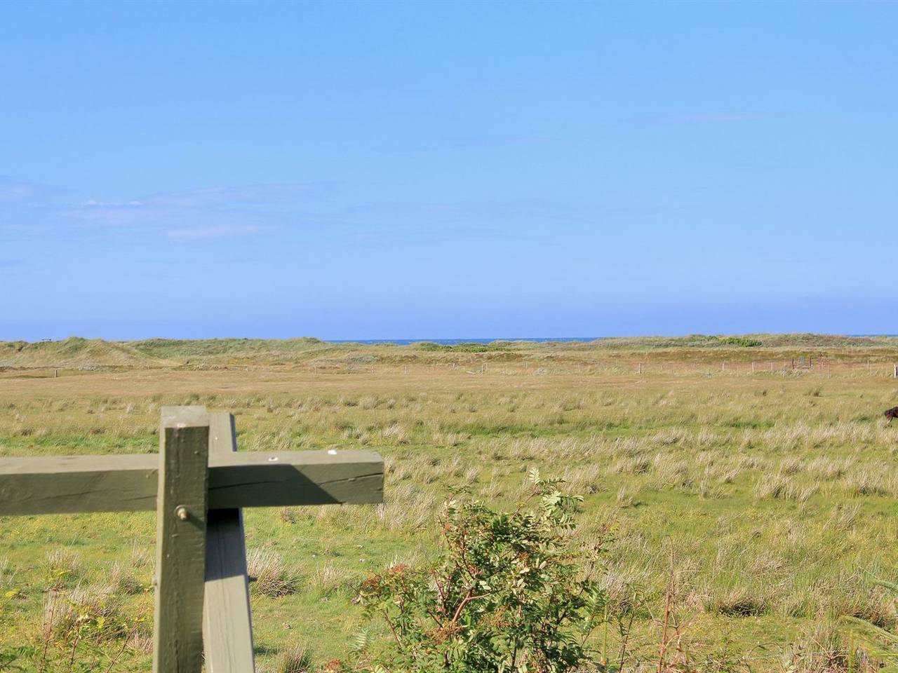 "Annick" - 300m from the sea in Thorup Strand, Jammerbugt