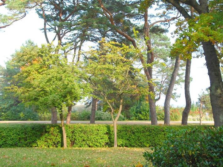 Ferienhaus mit Meerblick für 4 Personen, mit Garten und Balkon in Drei Kaiserbäder - 4