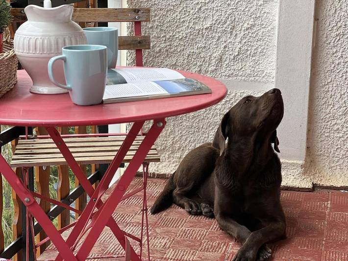Gîte pour 4 personnes, avec terrasse et vue dans Formigal - 4