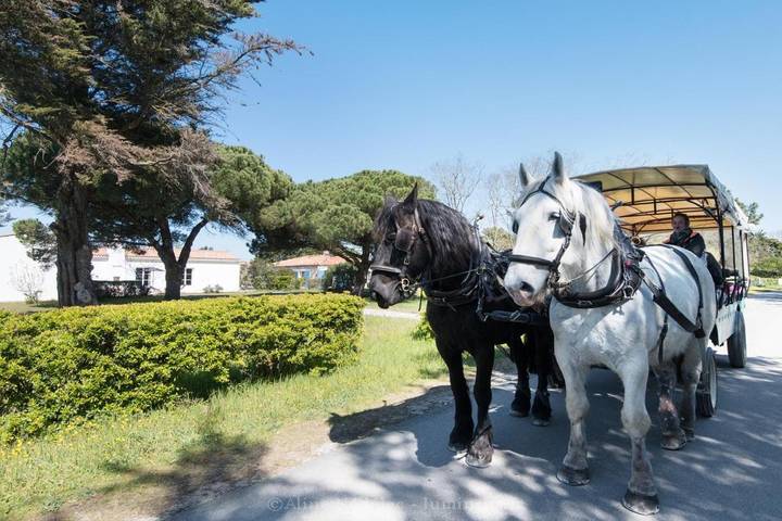 Location de vacances pour 8 personnes dans Plage Les Sables D Or - 3