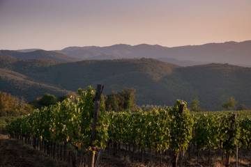 Villa pour 10 Personnes dans Arezzo, Province d'Arezzo, Photo 2