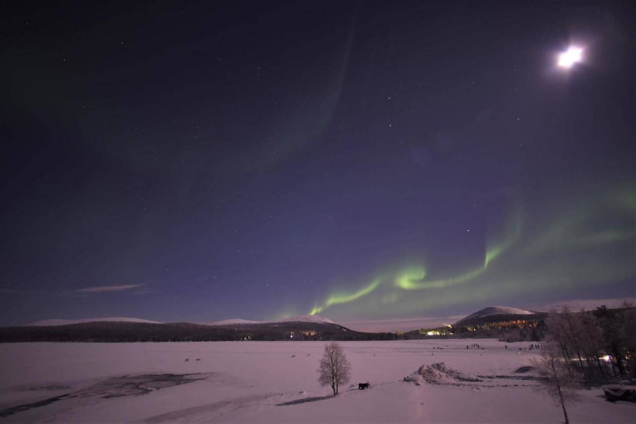 Ylläksen Yöpuu in Kaulavaara, Laponie
