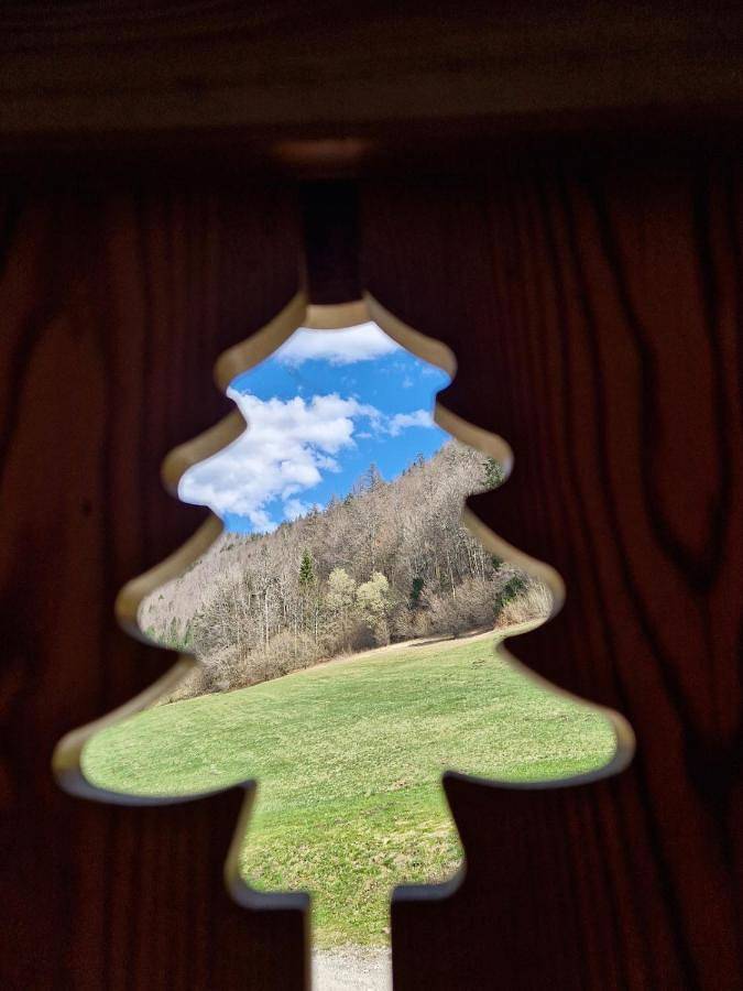 Maison de vacances pour 8 personnes, avec vue et terrasse - 1