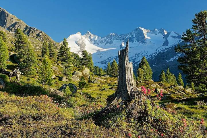 Chalet voor 6 personen, met balkon in Hochkrimml